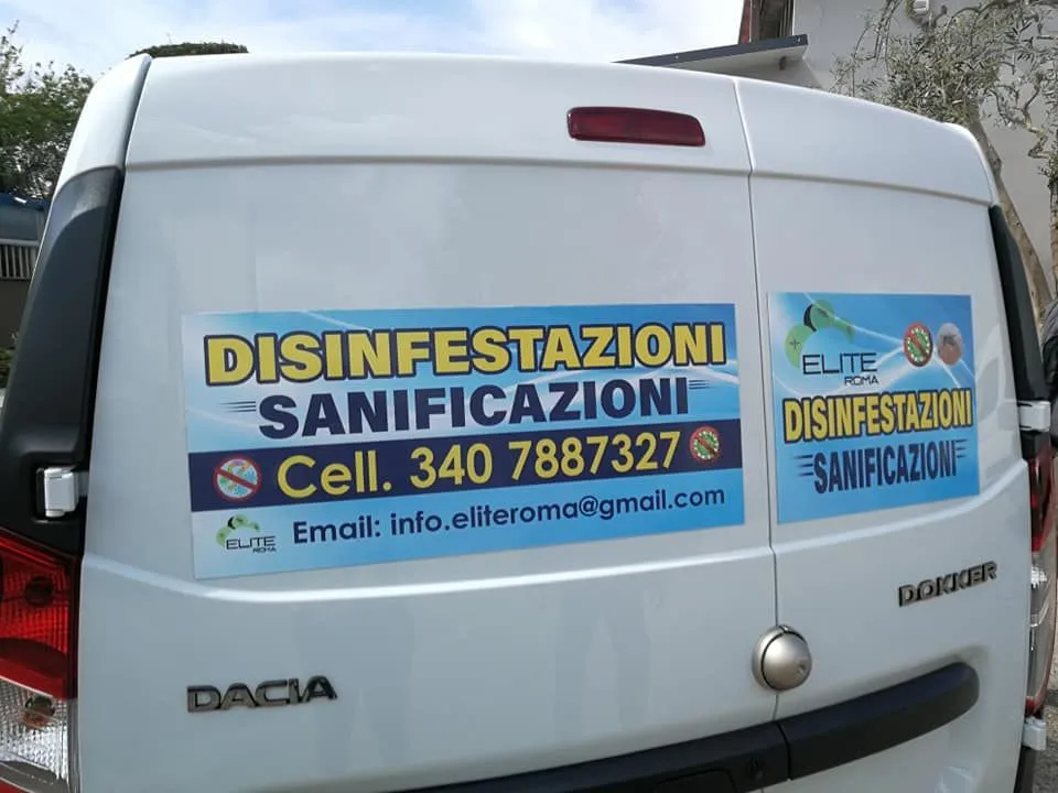 Veicolo personalizzato Publieuropa in strada