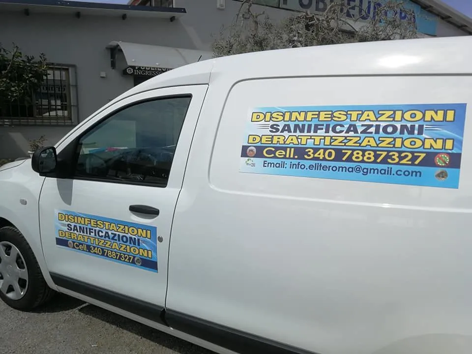 Primo piano di grafica su veicolo aziendale Publieuropa